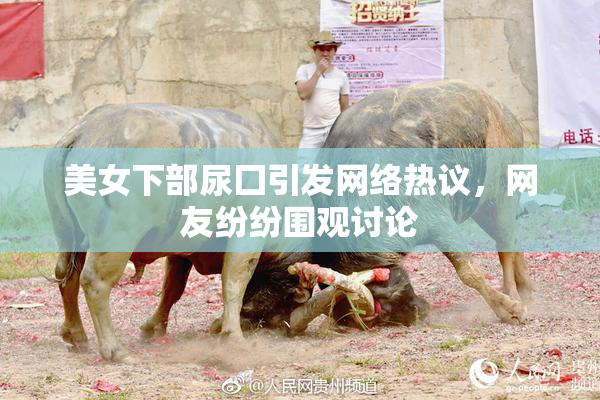 美女下部尿囗引发网络热议，网友纷纷围观讨论