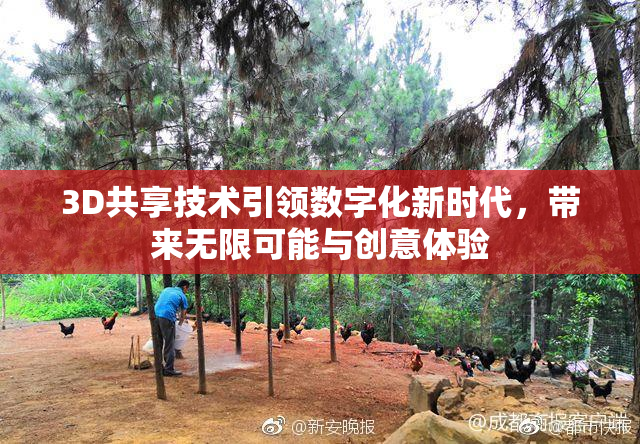 3D共享技术引领数字化新时代，带来无限可能与创意体验