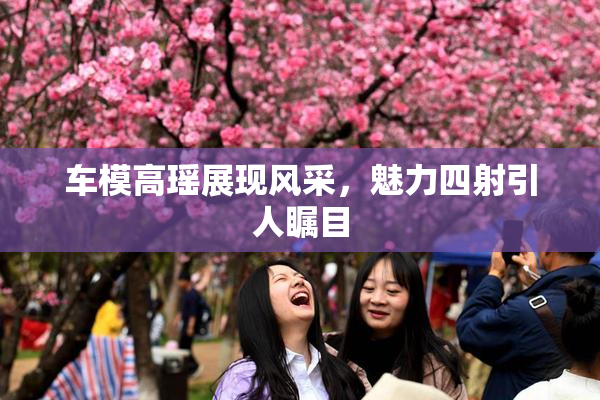 车模高瑶展现风采，魅力四射引人瞩目