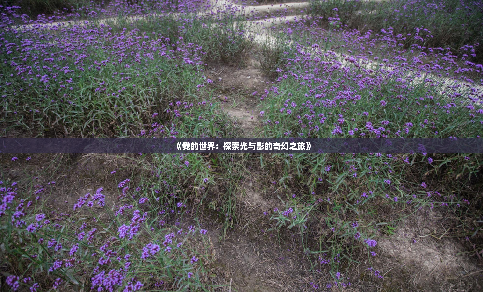 《我的世界：探索光与影的奇幻之旅》