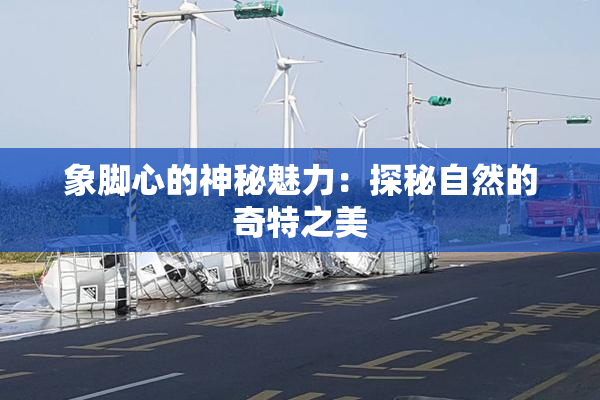 象脚心的神秘魅力：探秘自然的奇特之美