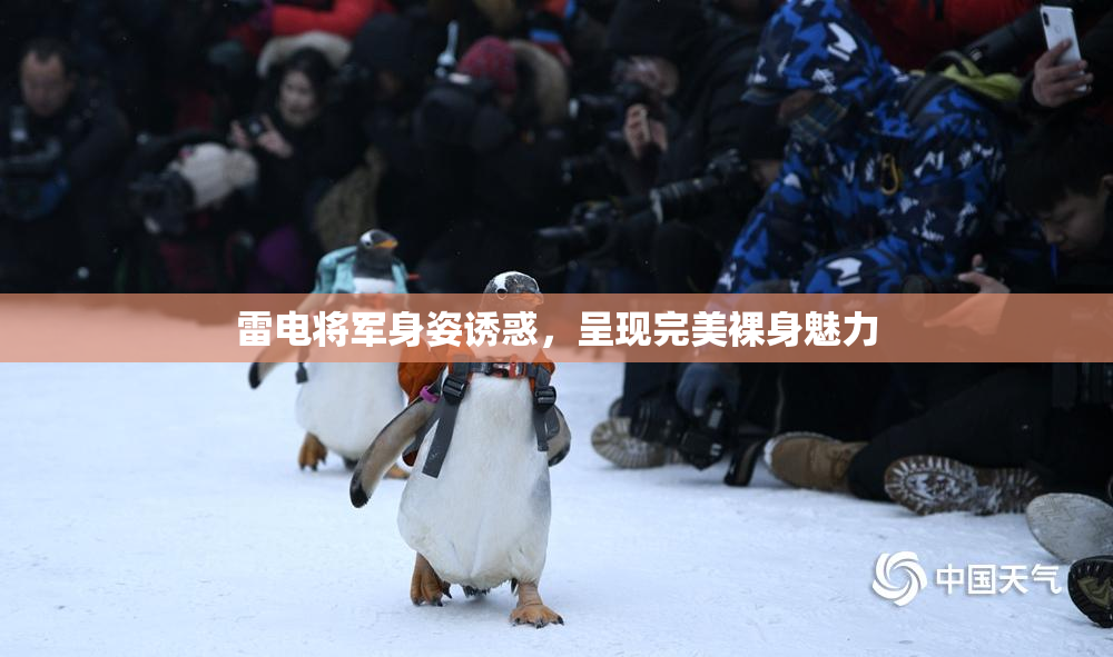 雷电将军身姿诱惑，呈现完美裸身魅力