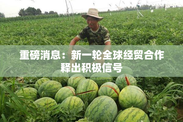 重磅消息：新一轮全球经贸合作释出积极信号