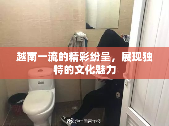 越南一流的精彩纷呈，展现独特的文化魅力