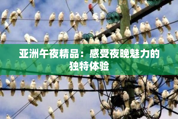亚洲午夜精品：感受夜晚魅力的独特体验