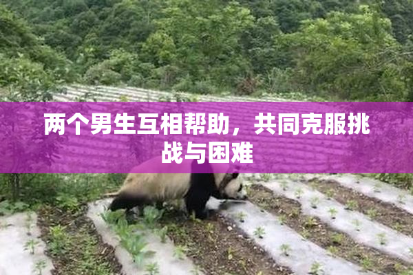两个男生互相帮助，共同克服挑战与困难