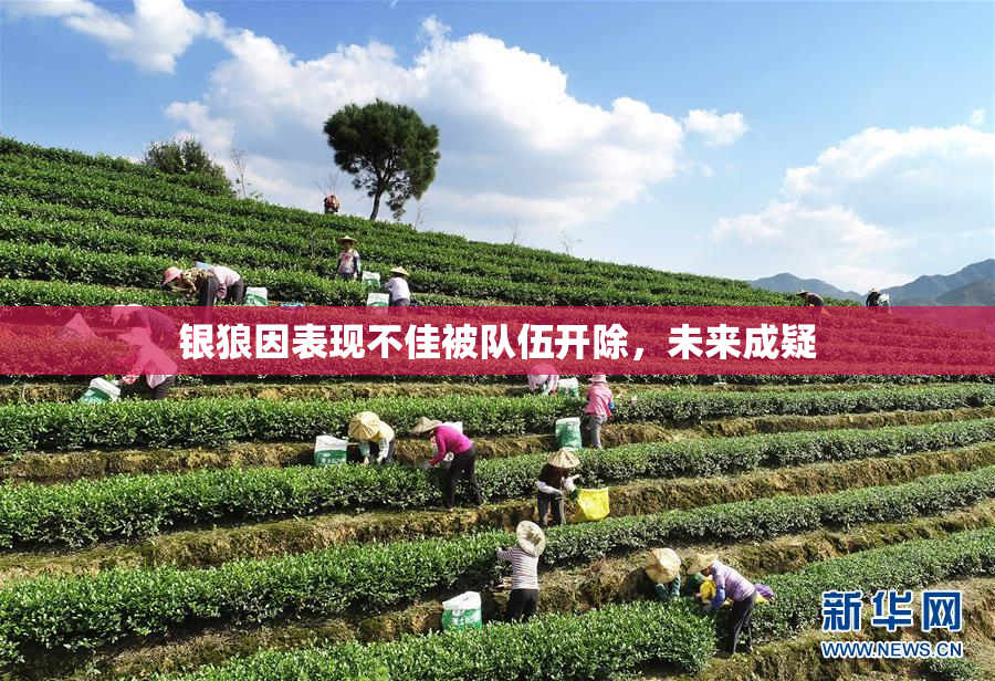 银狼因表现不佳被队伍开除，未来成疑