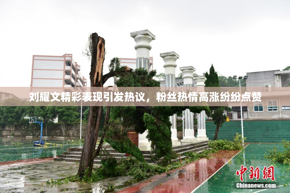 刘耀文精彩表现引发热议，粉丝热情高涨纷纷点赞