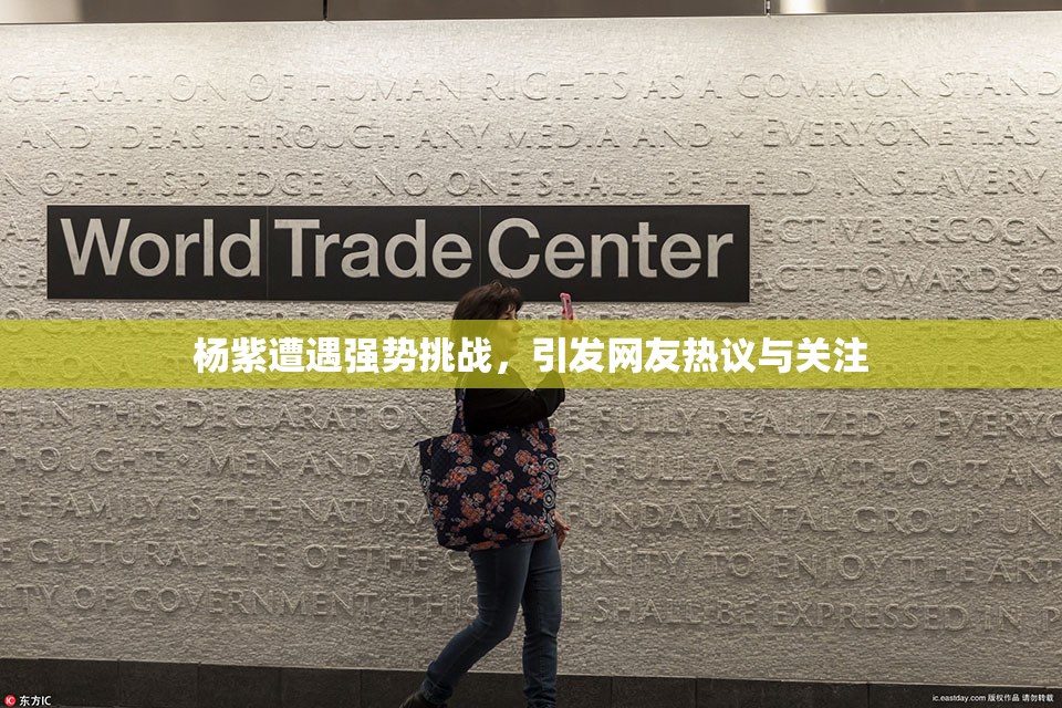 杨紫遭遇强势挑战，引发网友热议与关注