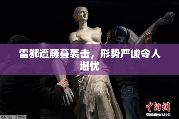 雷狮遭藤蔓袭击，形势严峻令人堪忧
