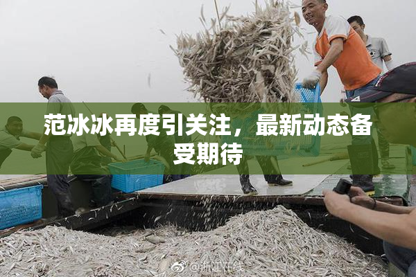 范冰冰再度引关注，最新动态备受期待