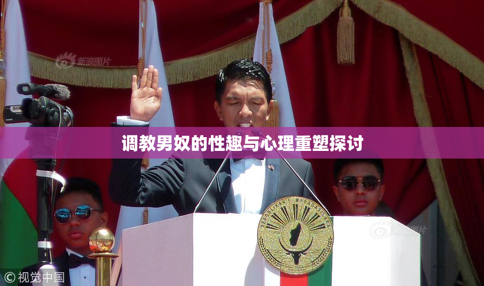 调教男奴的性趣与心理重塑探讨