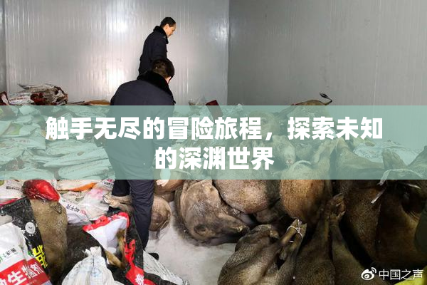 触手无尽的冒险旅程，探索未知的深渊世界
