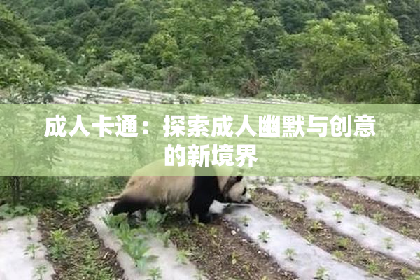 成人卡通：探索成人幽默与创意的新境界