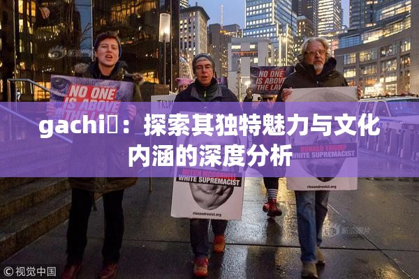 gachi籣：探索其独特魅力与文化内涵的深度分析