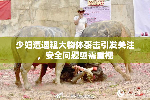 少妇遭遇粗大物体袭击引发关注，安全问题亟需重视