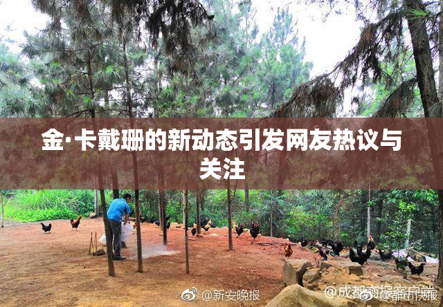 金·卡戴珊的新动态引发网友热议与关注