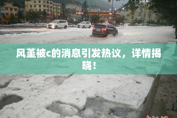 风堇被c的消息引发热议，详情揭晓！