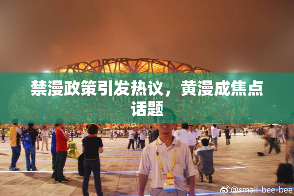 禁漫政策引发热议，黄漫成焦点话题