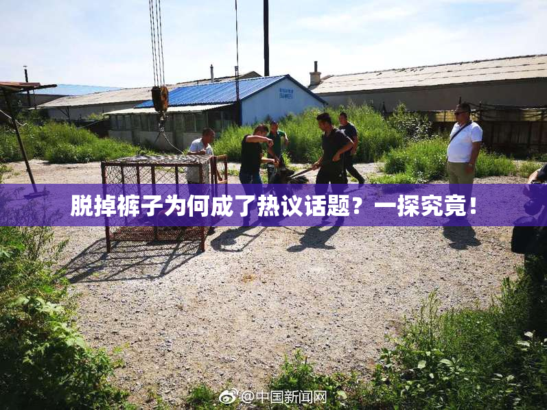 脱掉裤子为何成了热议话题？一探究竟！