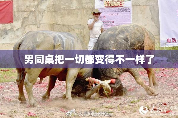 男同桌把一切都变得不一样了