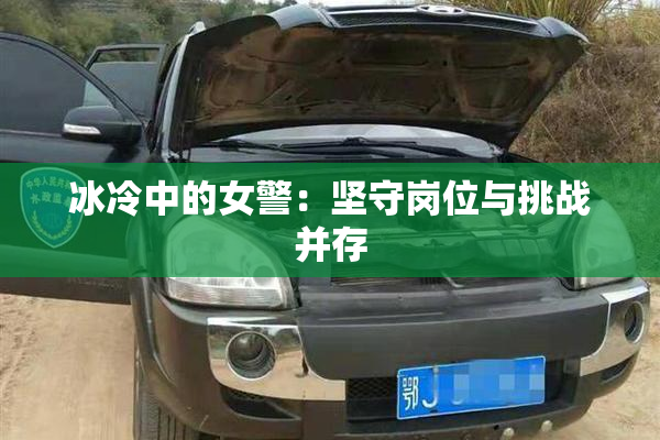 冰冷中的女警：坚守岗位与挑战并存