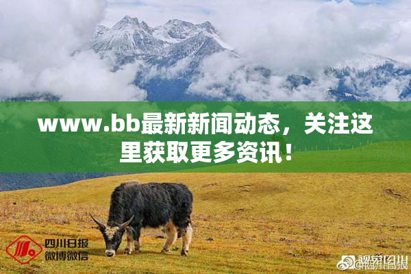 www.bb最新新闻动态，关注这里获取更多资讯！