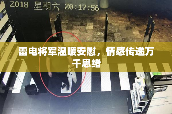 雷电将军温暖安慰，情感传递万千思绪