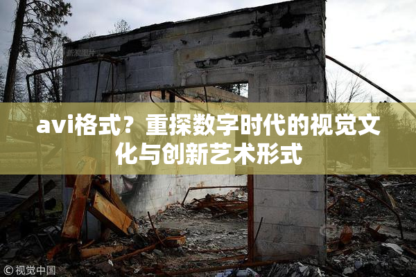 avi格式？重探数字时代的视觉文化与创新艺术形式