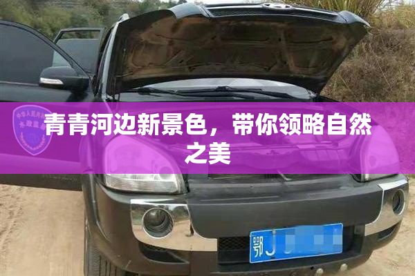 青青河边新景色，带你领略自然之美