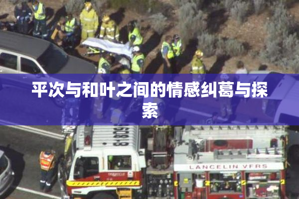 平次与和叶之间的情感纠葛与探索