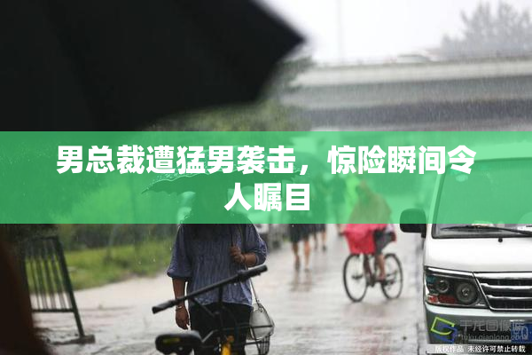 男总裁遭猛男袭击，惊险瞬间令人瞩目