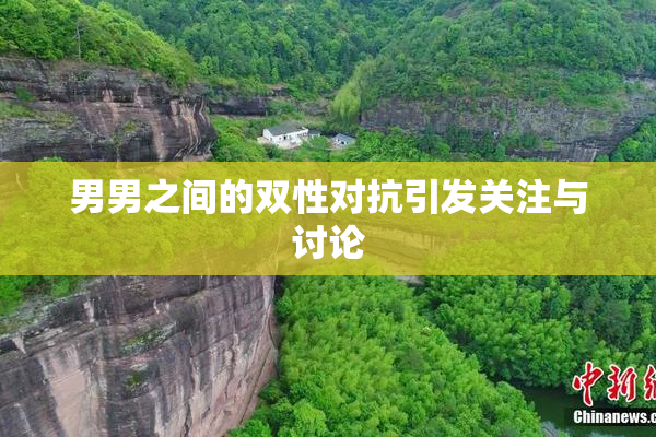 男男之间的双性对抗引发关注与讨论