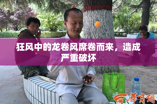 狂风中的龙卷风席卷而来，造成严重破坏