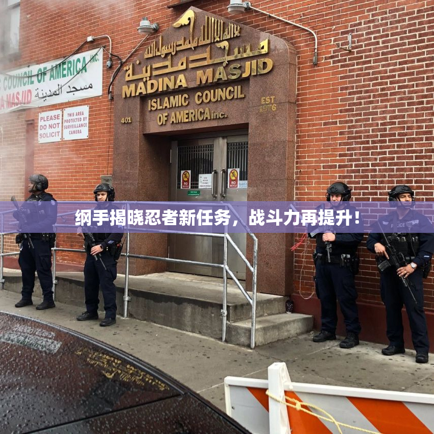 纲手揭晓忍者新任务，战斗力再提升！