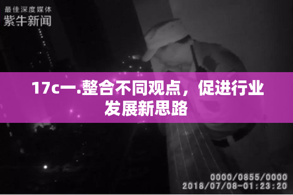 17c一.整合不同观点，促进行业发展新思路