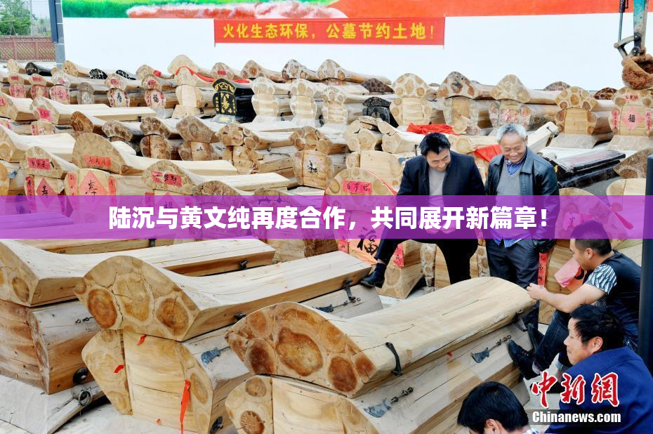 陆沉与黄文纯再度合作，共同展开新篇章！
