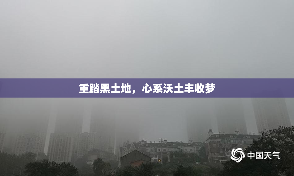 重踏黑土地，心系沃土丰收梦