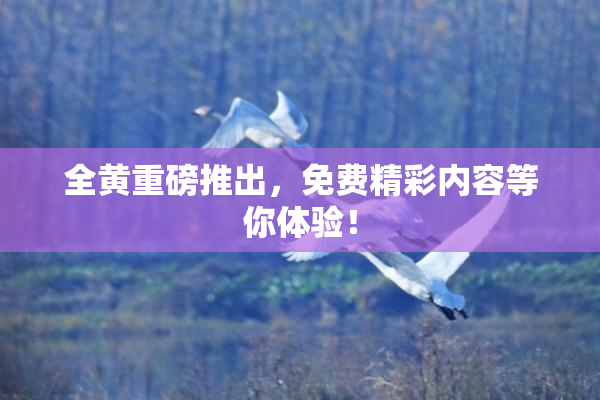 全黄重磅推出，免费精彩内容等你体验！
