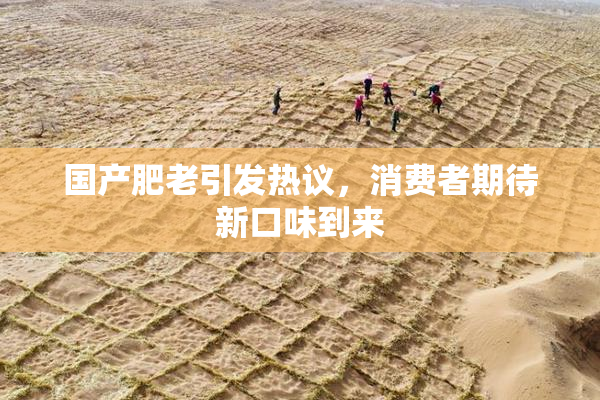 国产肥老引发热议，消费者期待新口味到来
