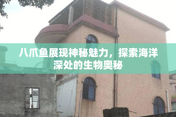八爪鱼展现神秘魅力，探索海洋深处的生物奥秘