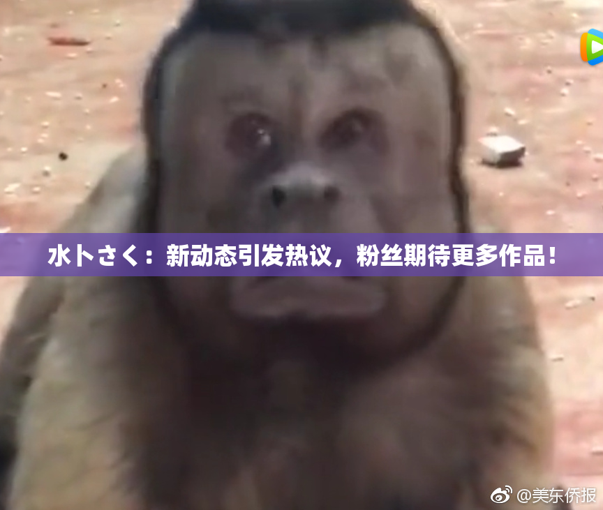 水卜さく：新动态引发热议，粉丝期待更多作品！