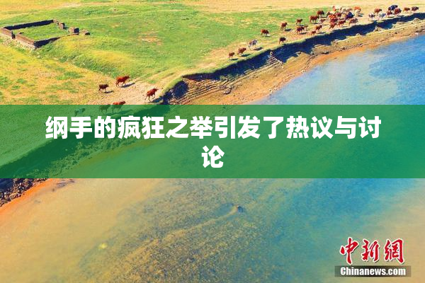 纲手的疯狂之举引发了热议与讨论