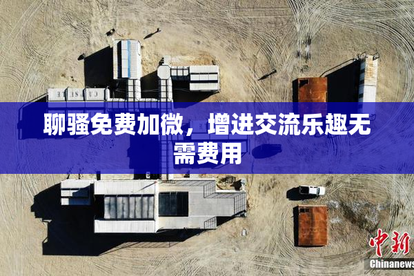 聊骚免费加微，增进交流乐趣无需费用