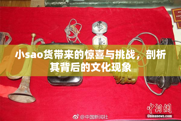 小sao货带来的惊喜与挑战，剖析其背后的文化现象