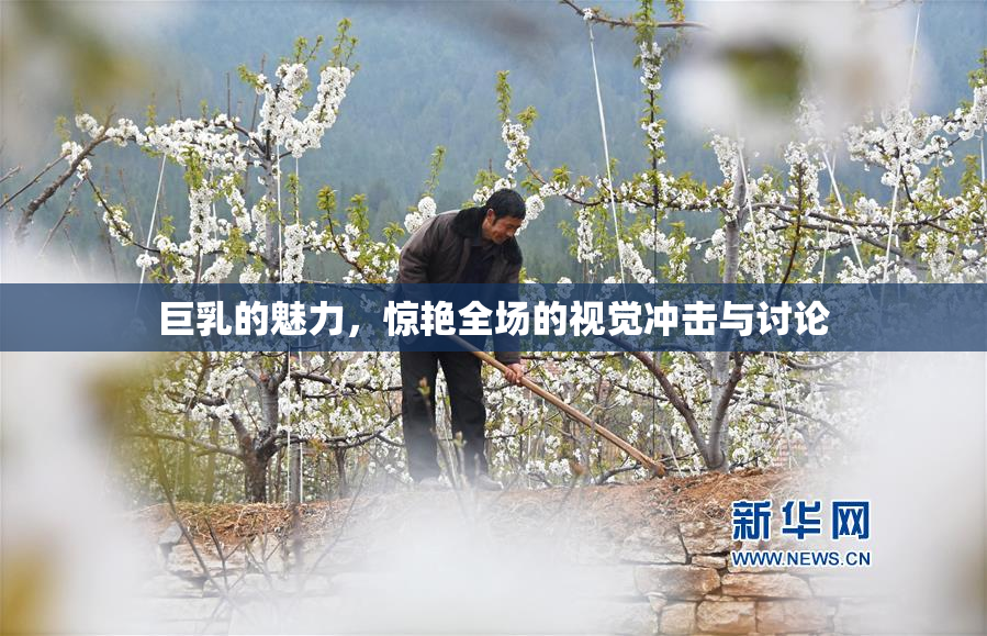 巨乳的魅力，惊艳全场的视觉冲击与讨论