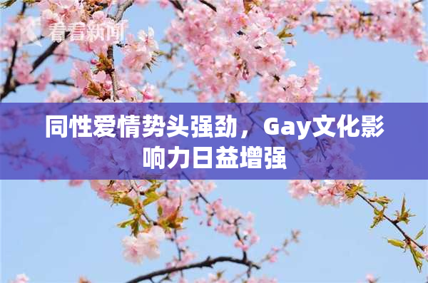 同性爱情势头强劲，Gay文化影响力日益增强