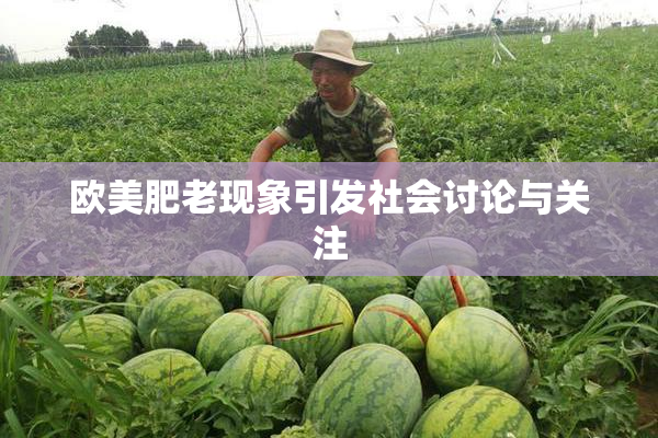 欧美肥老现象引发社会讨论与关注