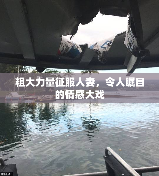 粗大力量征服人妻，令人瞩目的情感大戏