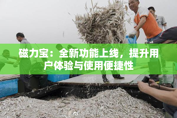 磁力宝：全新功能上线，提升用户体验与使用便捷性